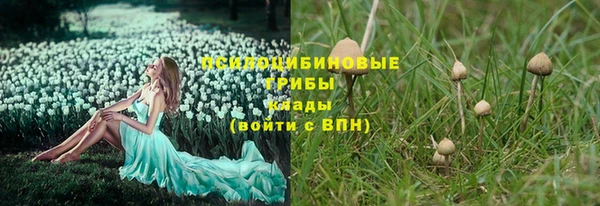 шишки Балахна