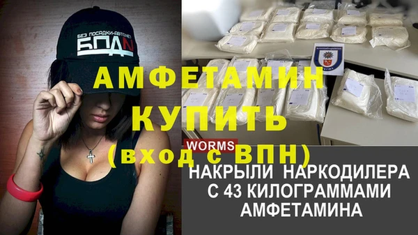 шишки Балахна