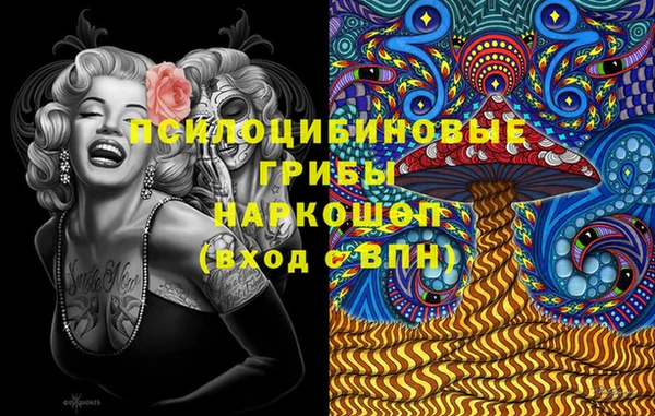 шишки Балахна