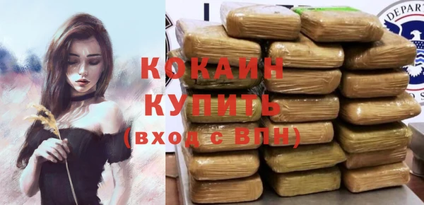 шишки Балахна