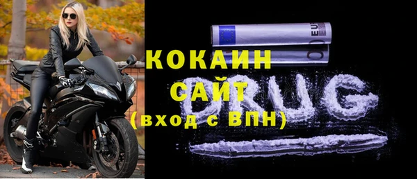 шишки Балахна