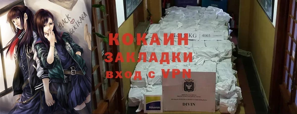 шишки Балахна
