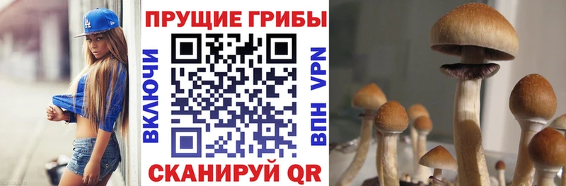где продают   Костерёво  Галлюциногенные грибы MAGIC MUSHROOMS 
